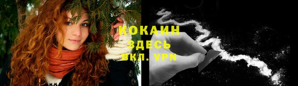 ГАЛЛЮЦИНОГЕННЫЕ ГРИБЫ Михайловка