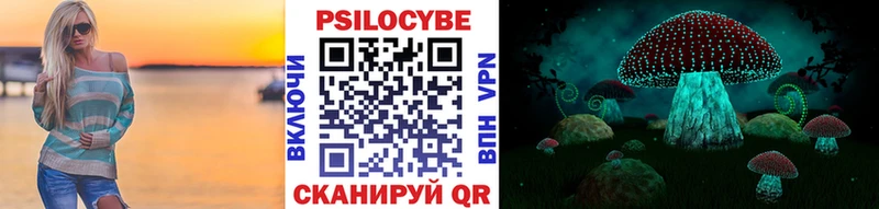 Галлюциногенные грибы Psilocybe Райчихинск